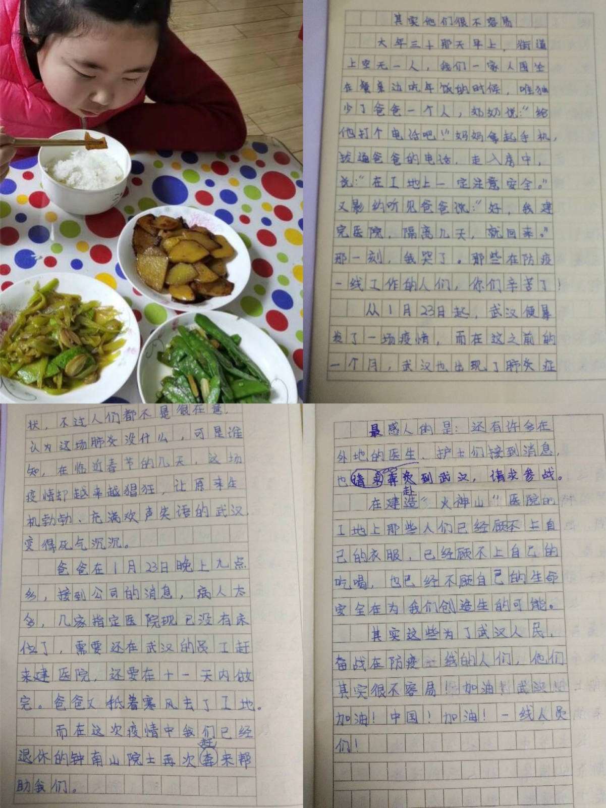 ���Ź����217��(�й���)����