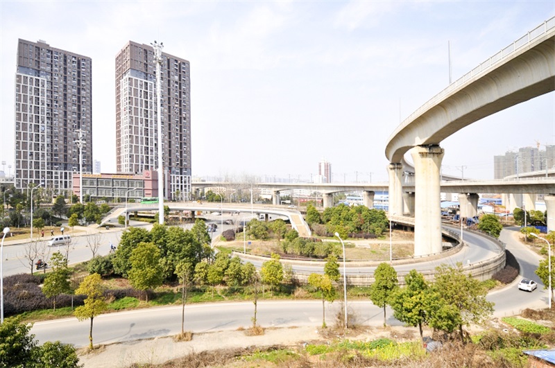 ���Ź����217��(�й���)����