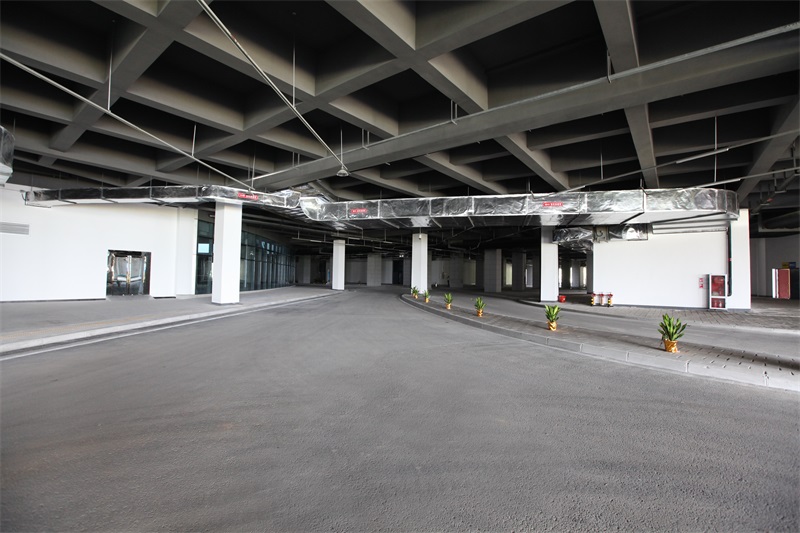 ���Ź����217��(�й���)����