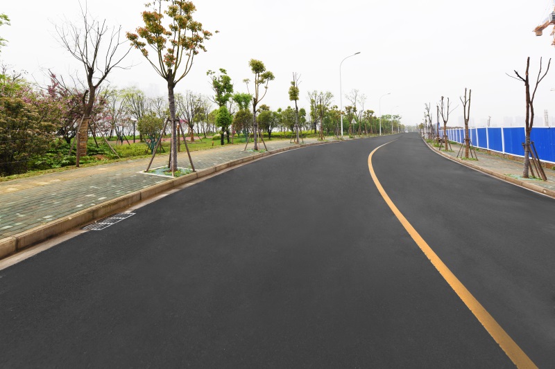 ���Ź����217��(�й���)����