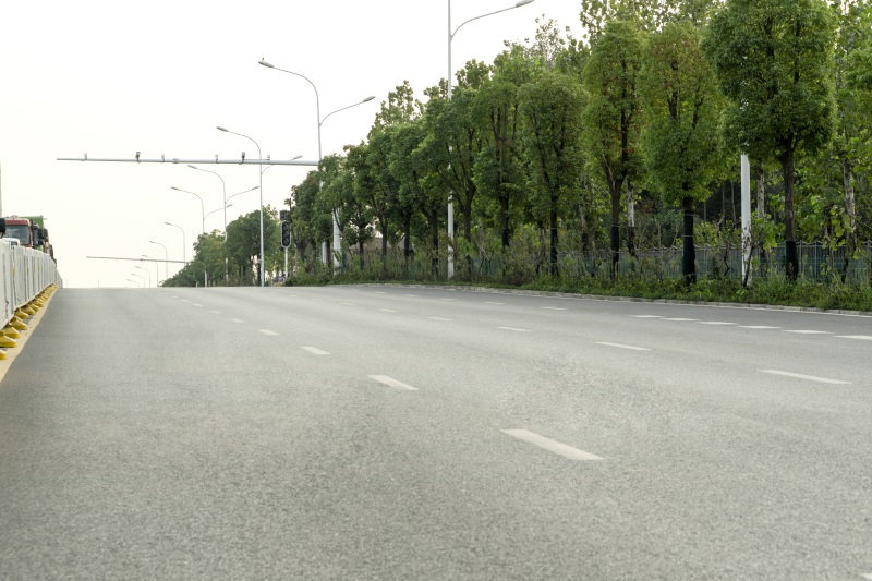 ���Ź����217��(�й���)����