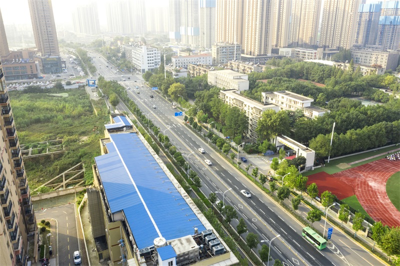 ���Ź����217��(�й���)����