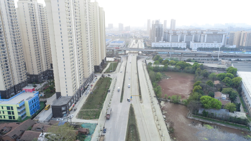 ���Ź����217��(�й���)����