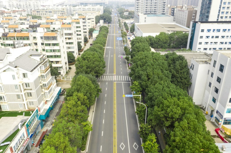 ���Ź����217��(�й���)����