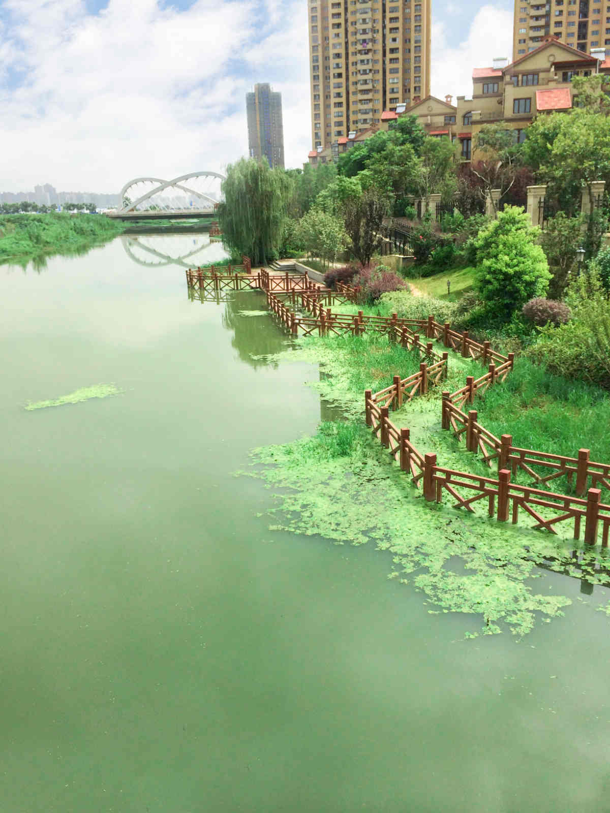 ���Ź����217��(�й���)����