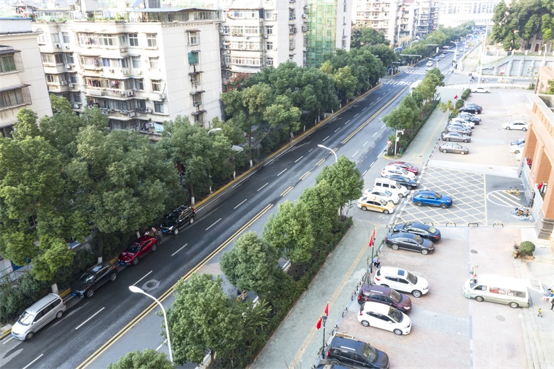 ���Ź����217��(�й���)����