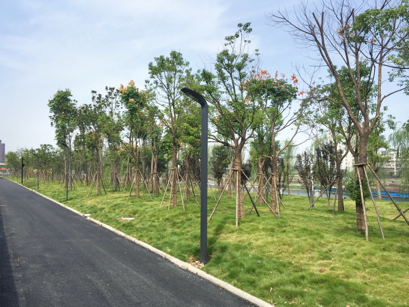 ���Ź����217��(�й���)����