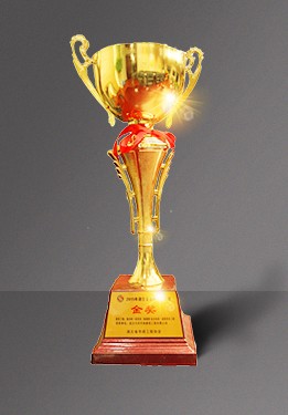 ���Ź����217��(�й���)����