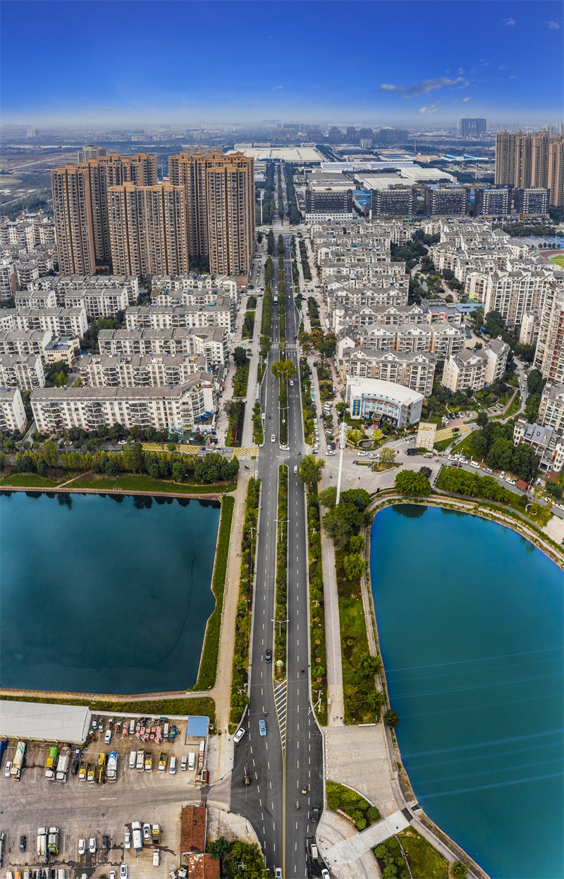 ���Ź����217��(�й���)����