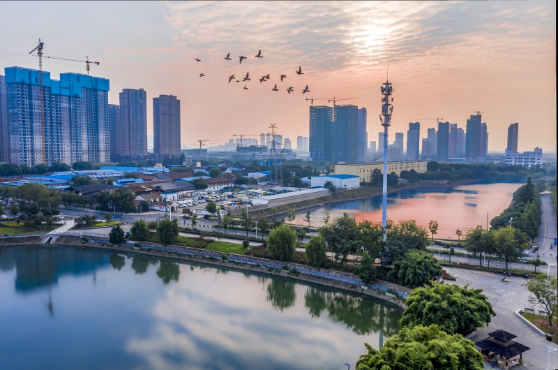 ���Ź����217��(�й���)����