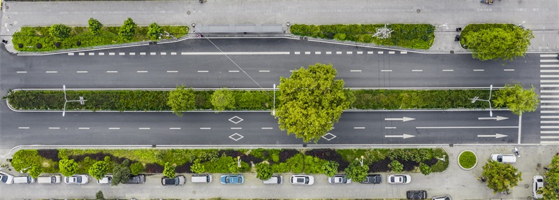 ���Ź����217��(�й���)����