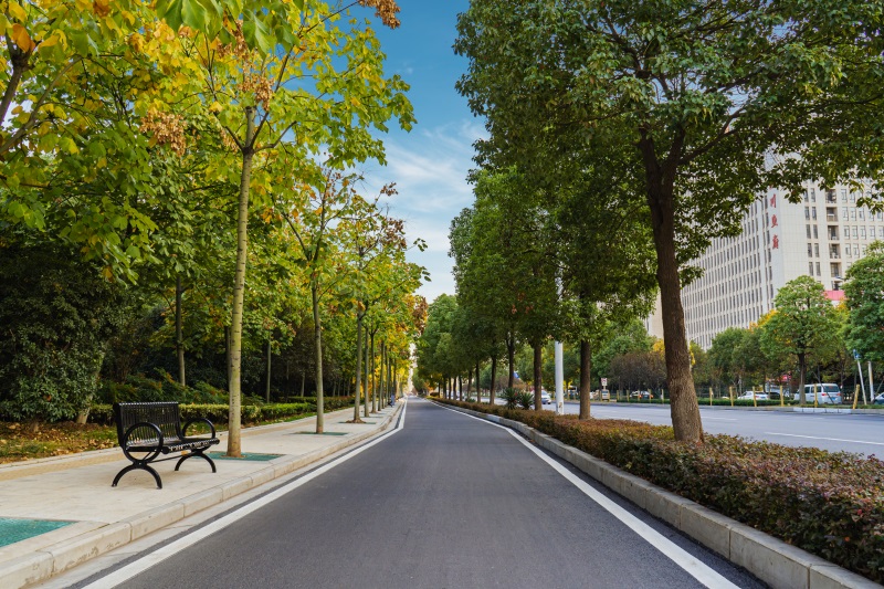 ���Ź����217��(�й���)����