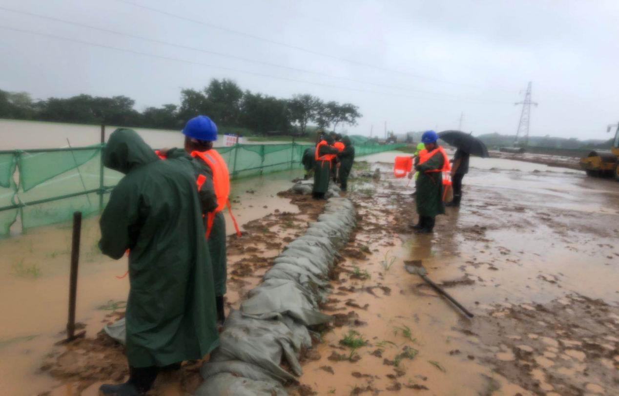 ���Ź����217��(�й���)����