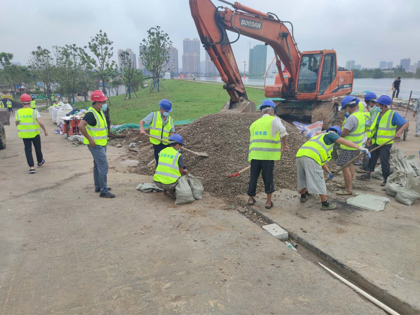 ���Ź����217��(�й���)����