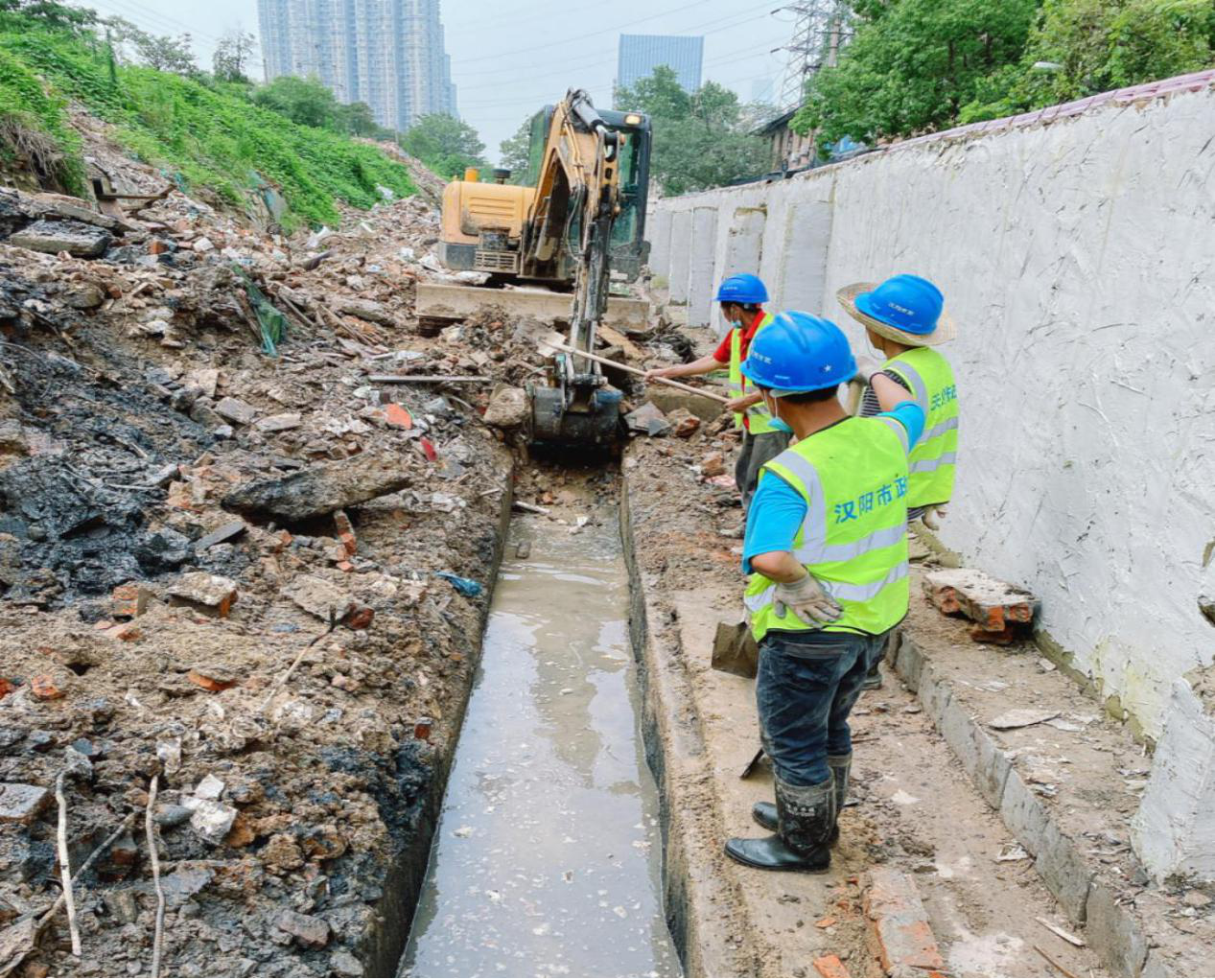 ���Ź����217��(�й���)����