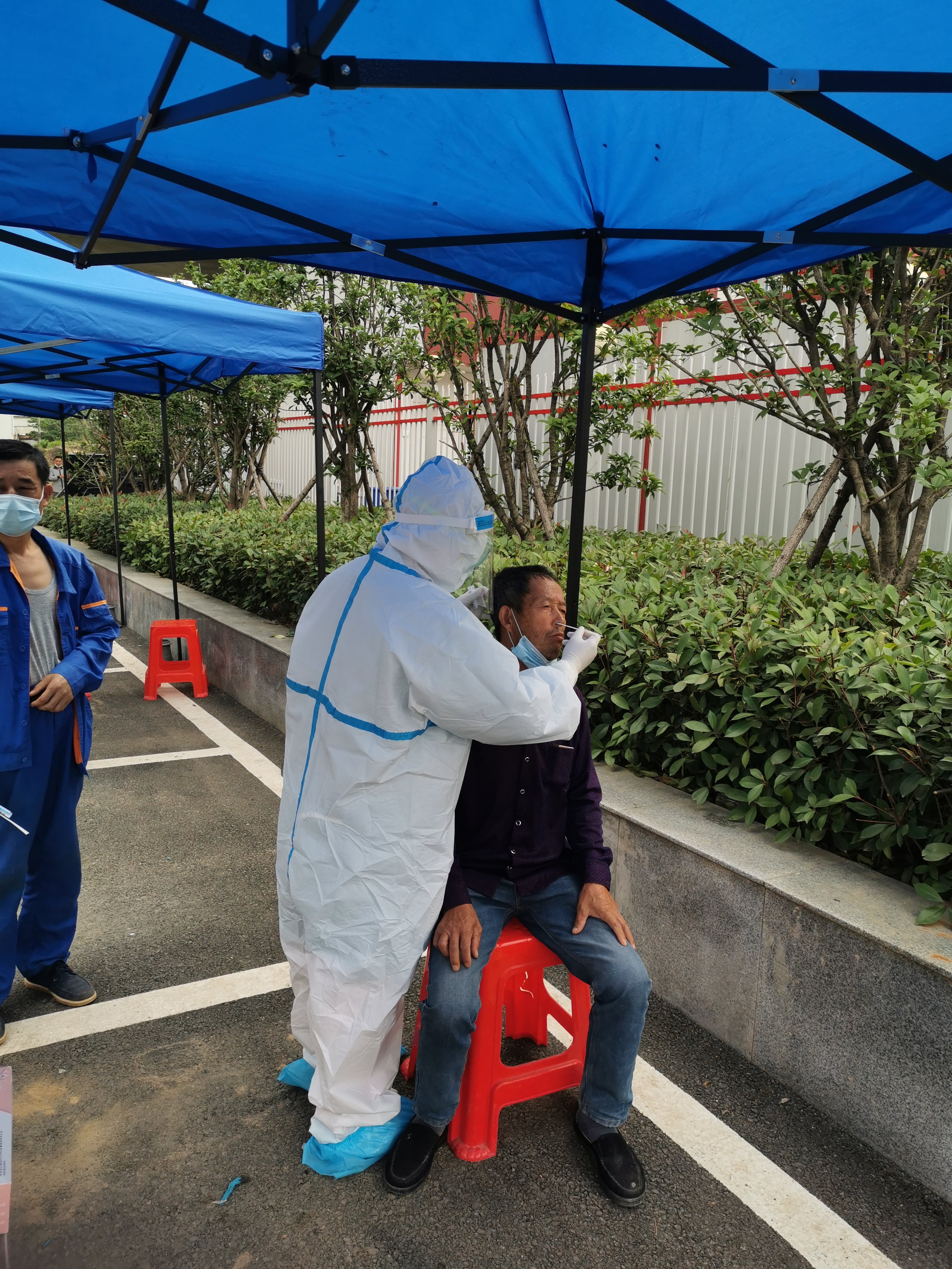 ���Ź����217��(�й���)����