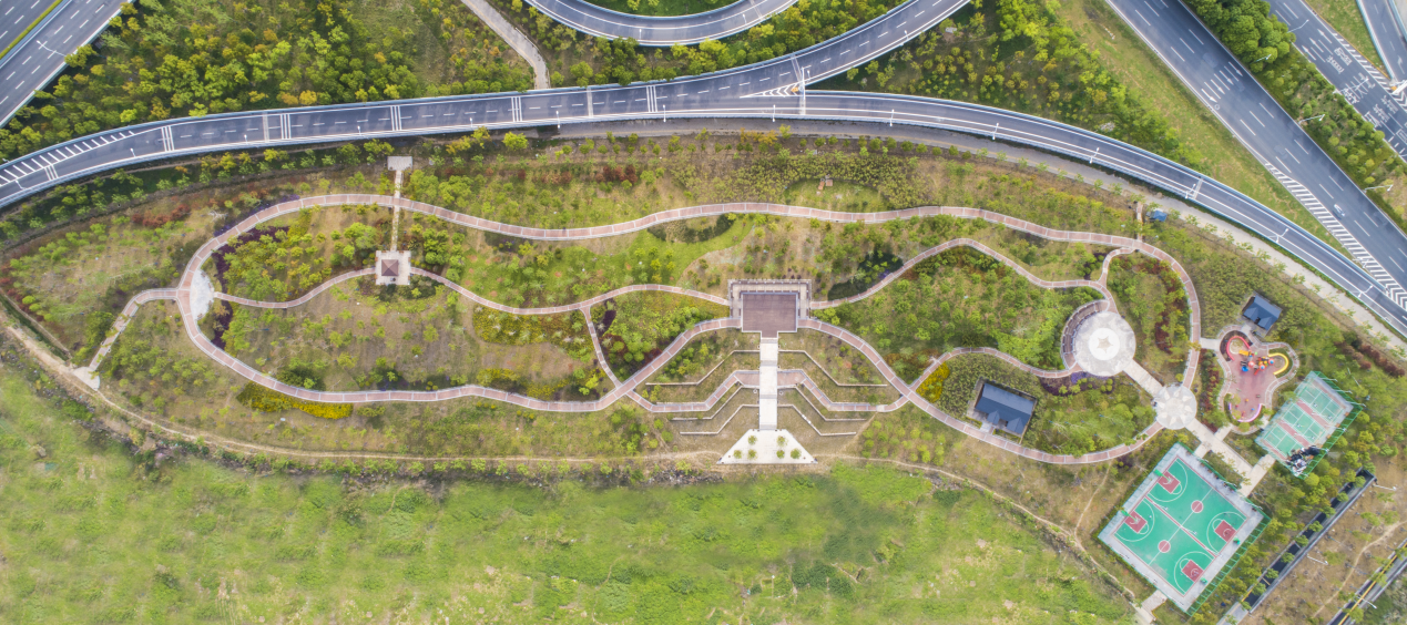 ���Ź����217��(�й���)����