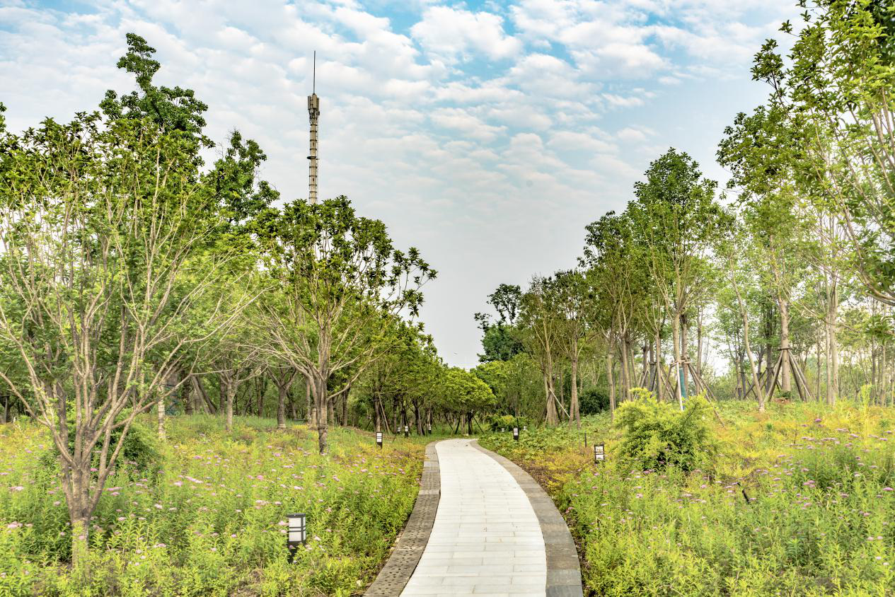 ���Ź����217��(�й���)����