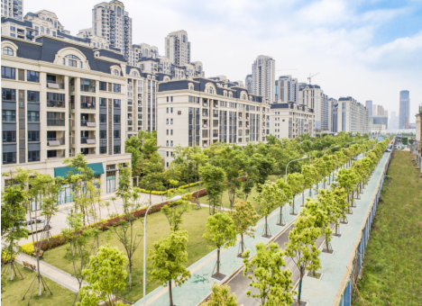 ���Ź����217��(�й���)����