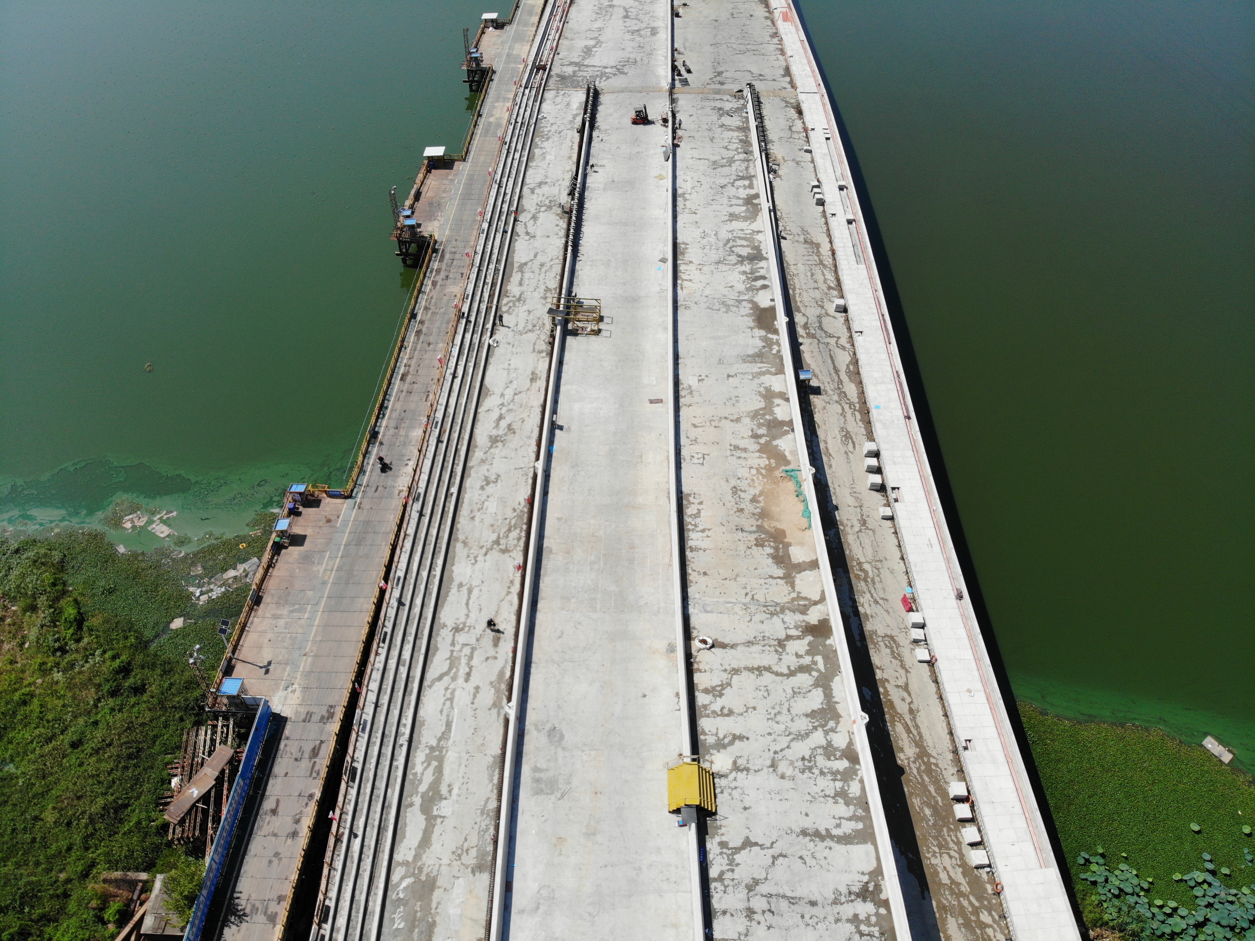 ���Ź����217��(�й���)����