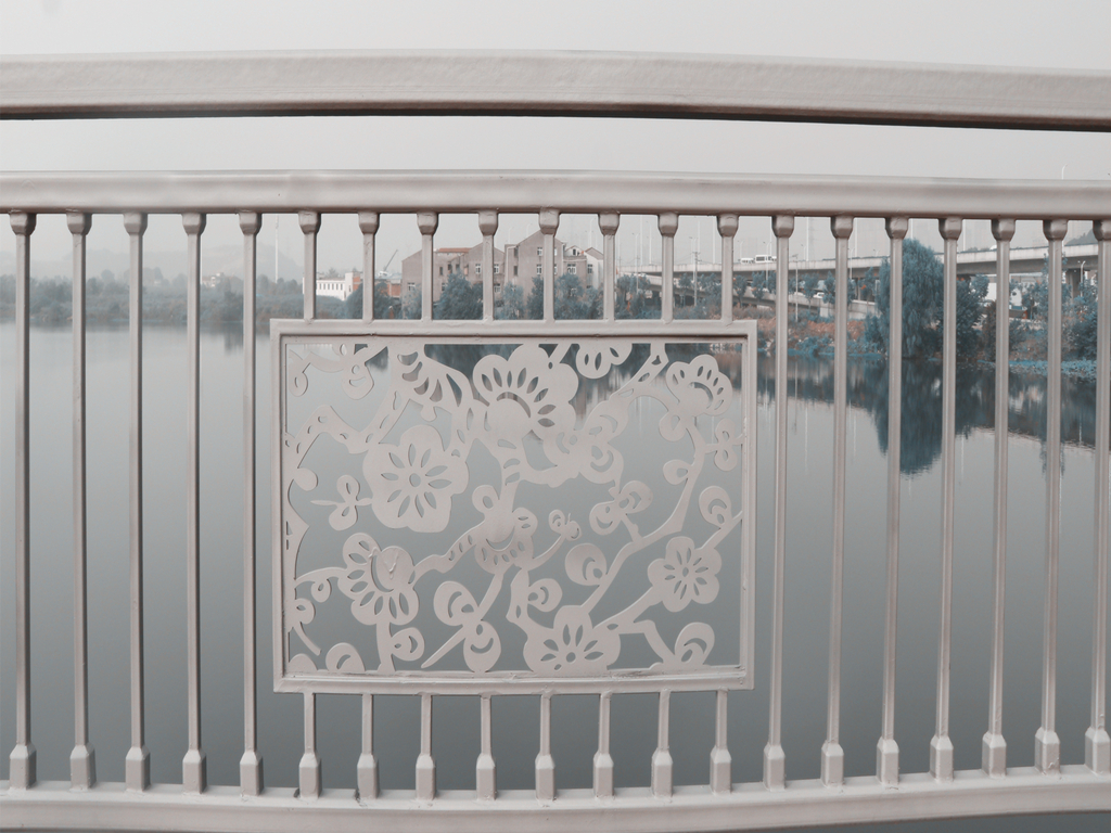 ���Ź����217��(�й���)����