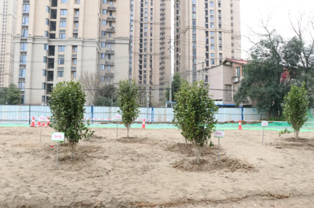 ���Ź����217��(�й���)����