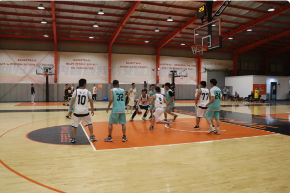 ���Ź����217��(�й���)����