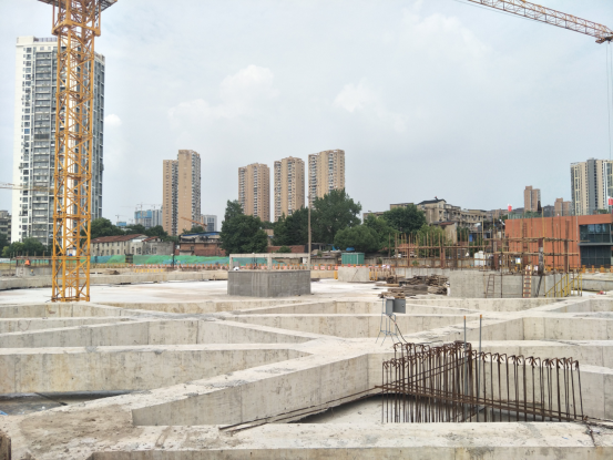 ���Ź����217��(�й���)����