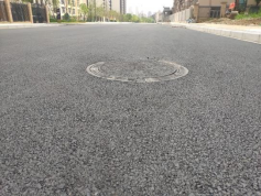 ���Ź����217��(�й���)����