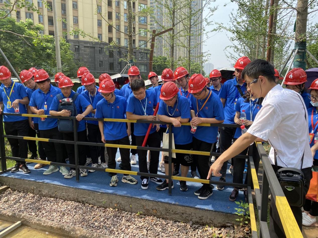 ���Ź����217��(�й���)����