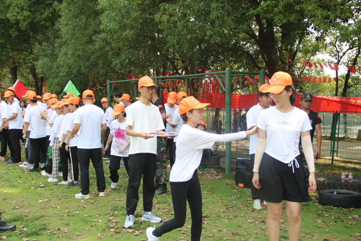 ���Ź����217��(�й���)����