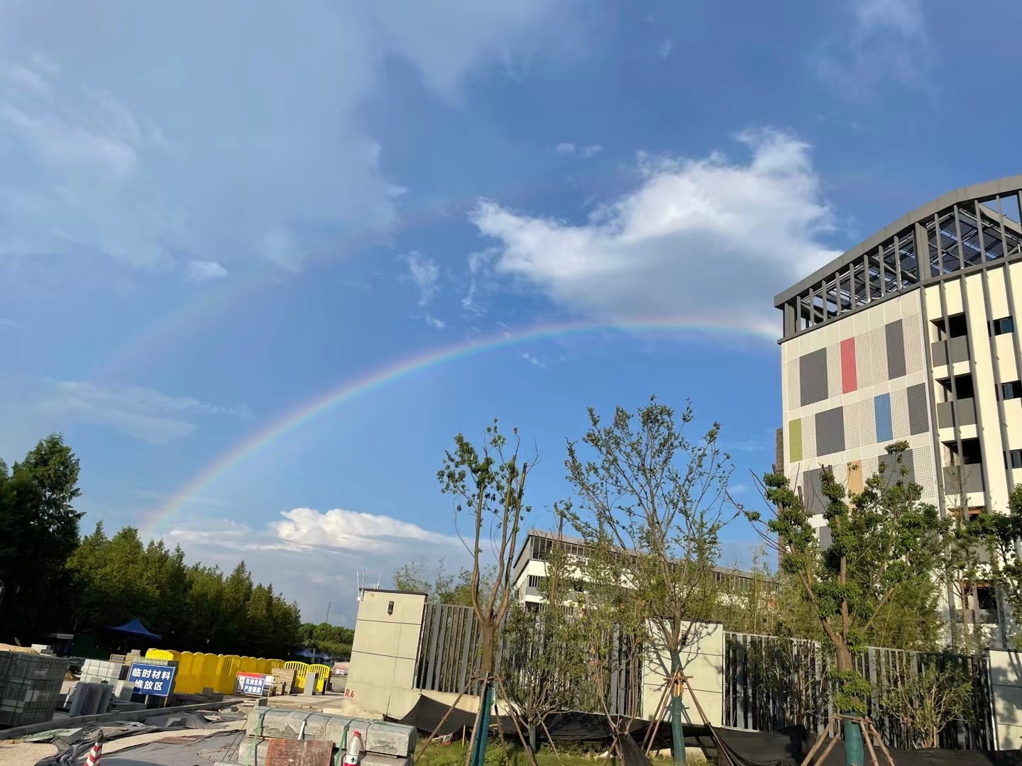 ���Ź����217��(�й���)����