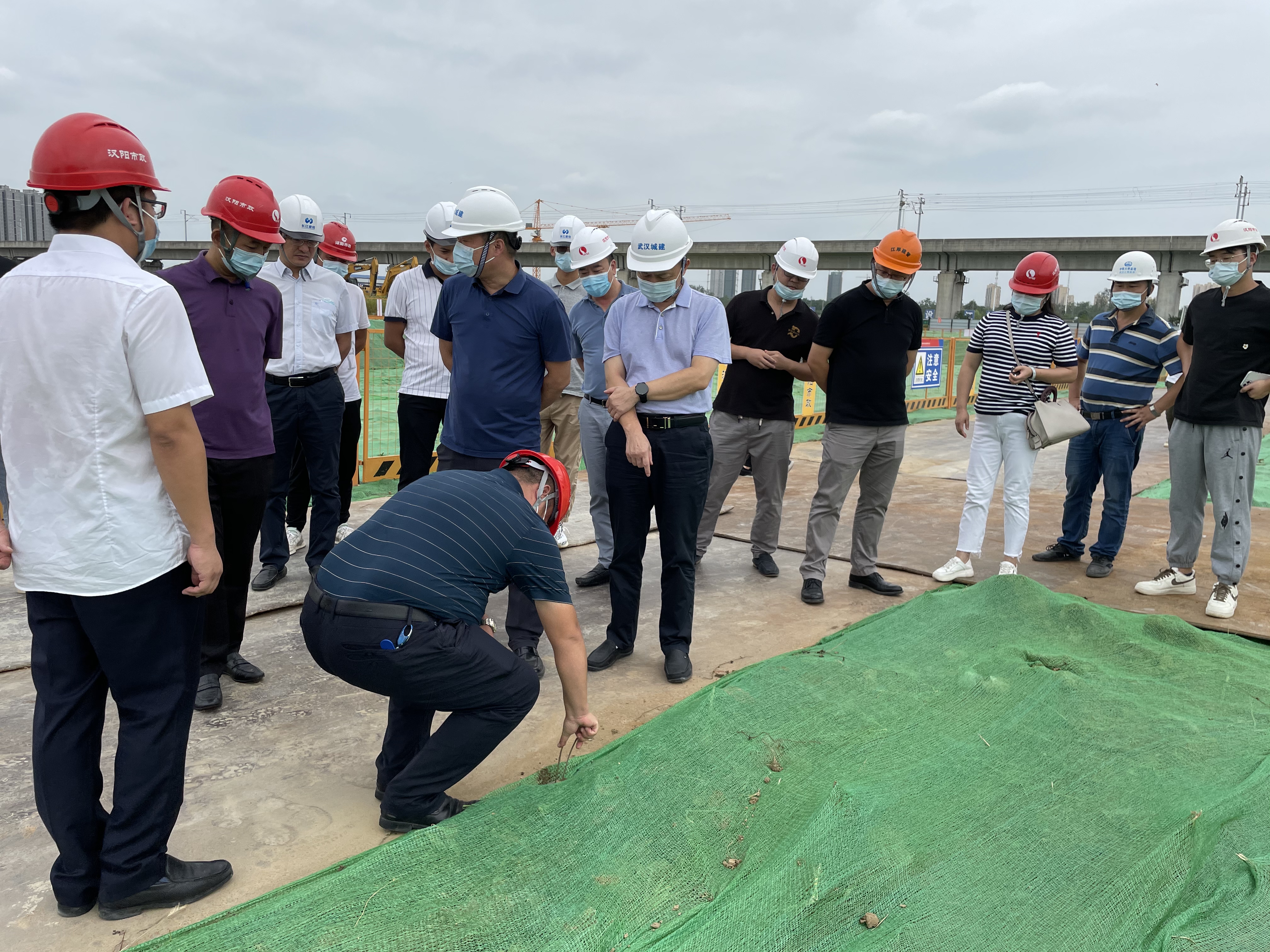 ���Ź����217��(�й���)����