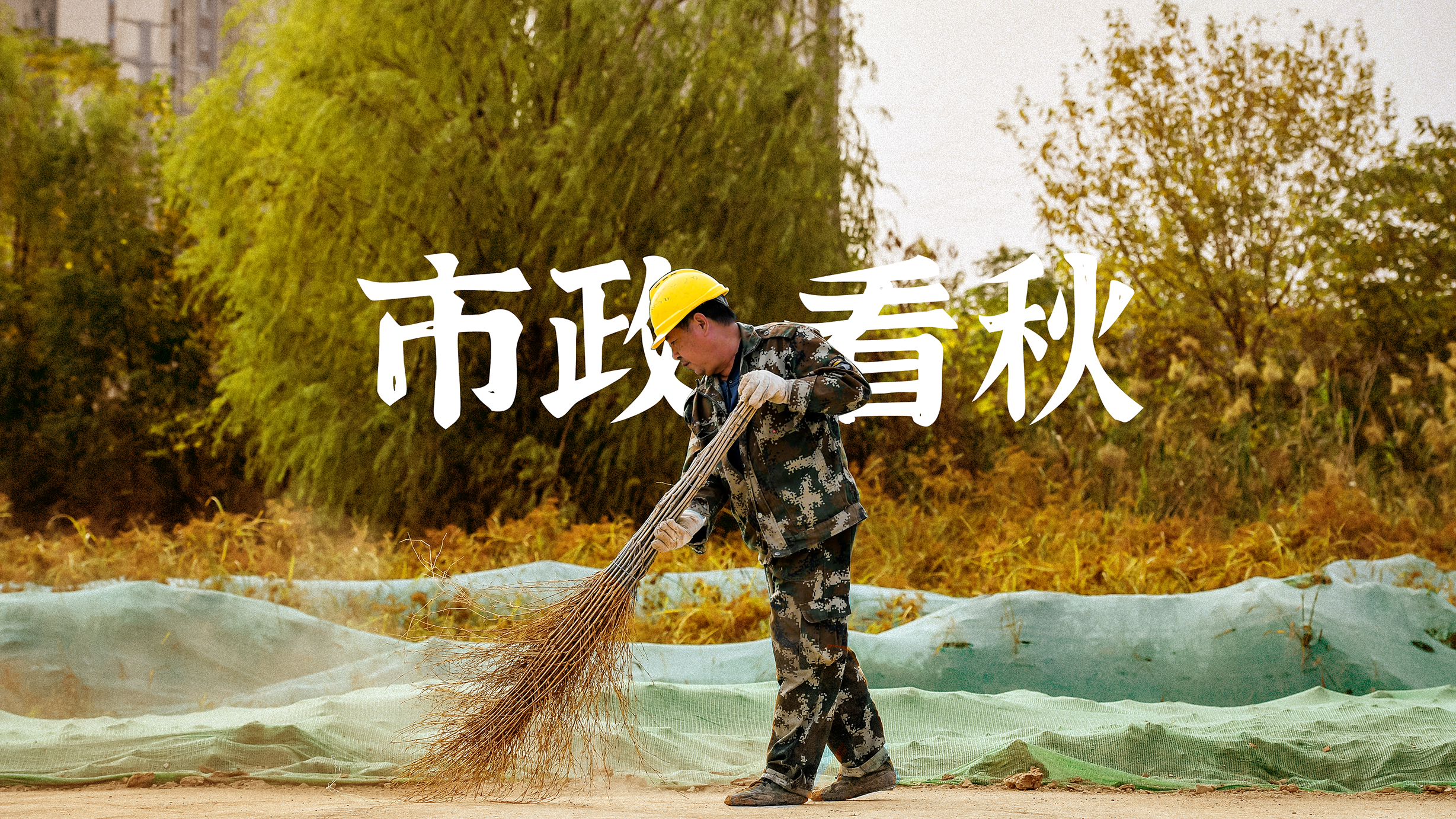 ���Ź����217��(�й���)����