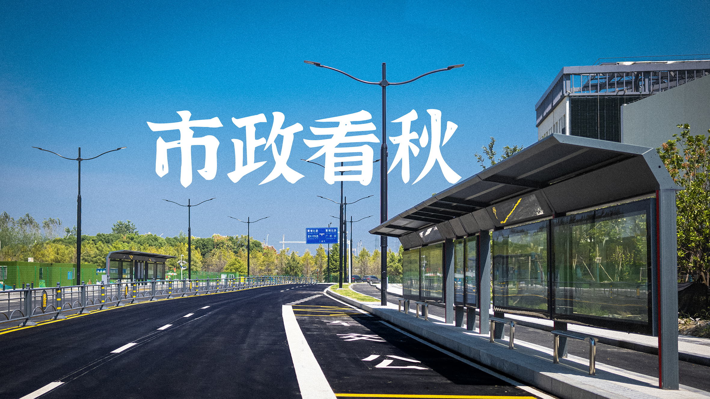 ���Ź����217��(�й���)����