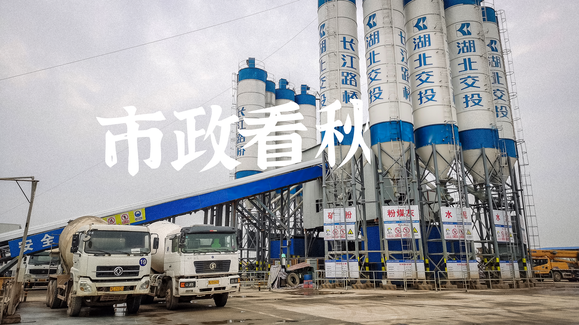 ���Ź����217��(�й���)����