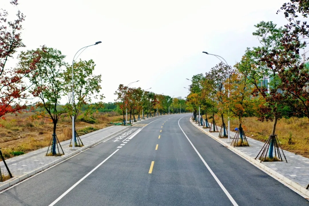 ���Ź����217��(�й���)����