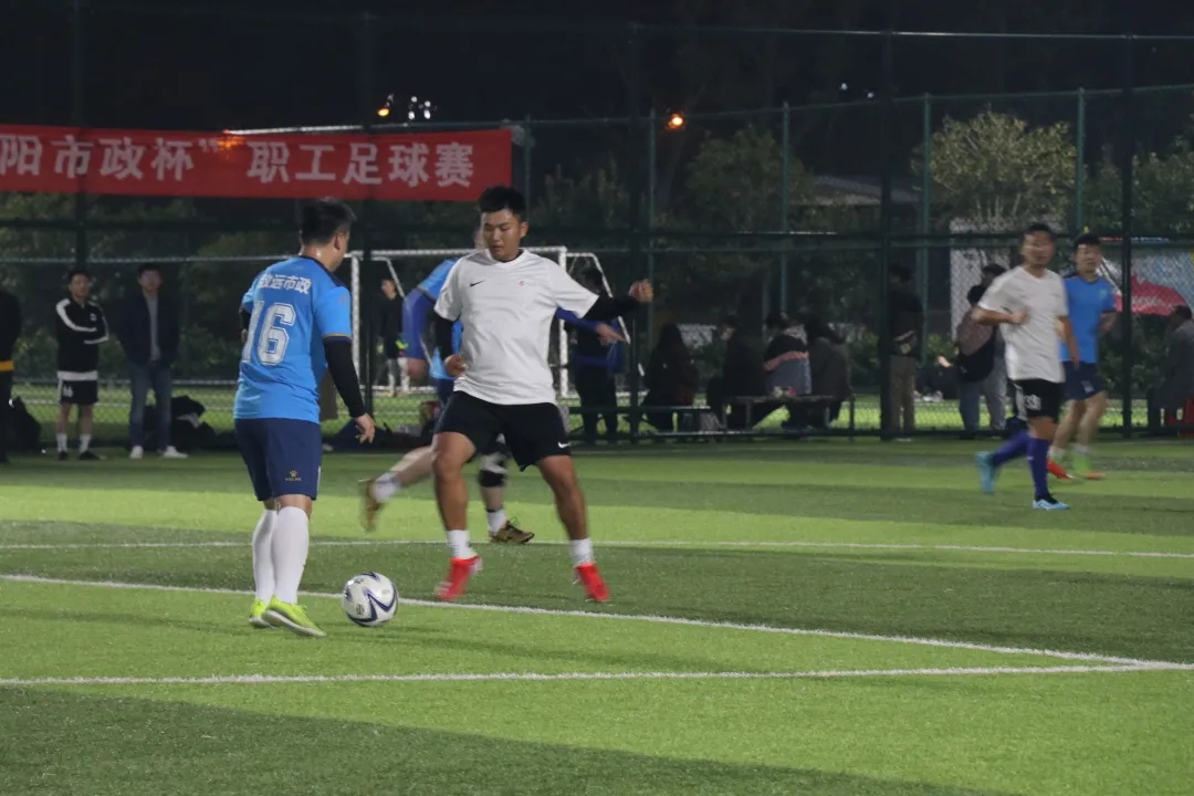 ���Ź����217��(�й���)����