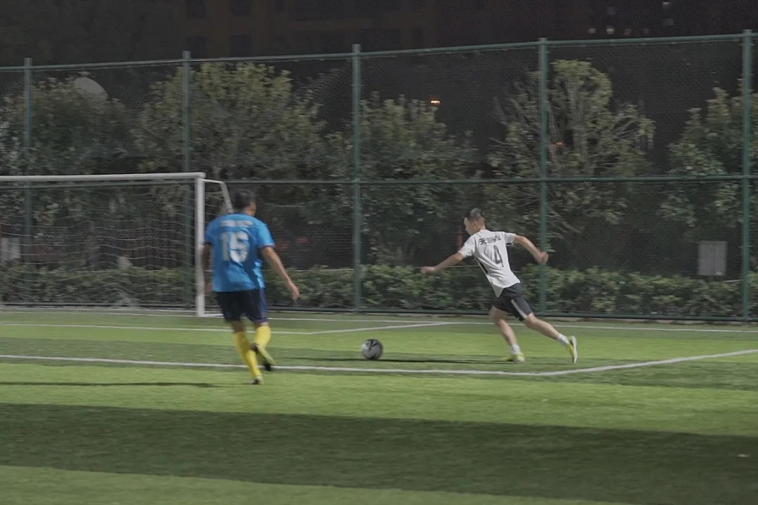 ���Ź����217��(�й���)����