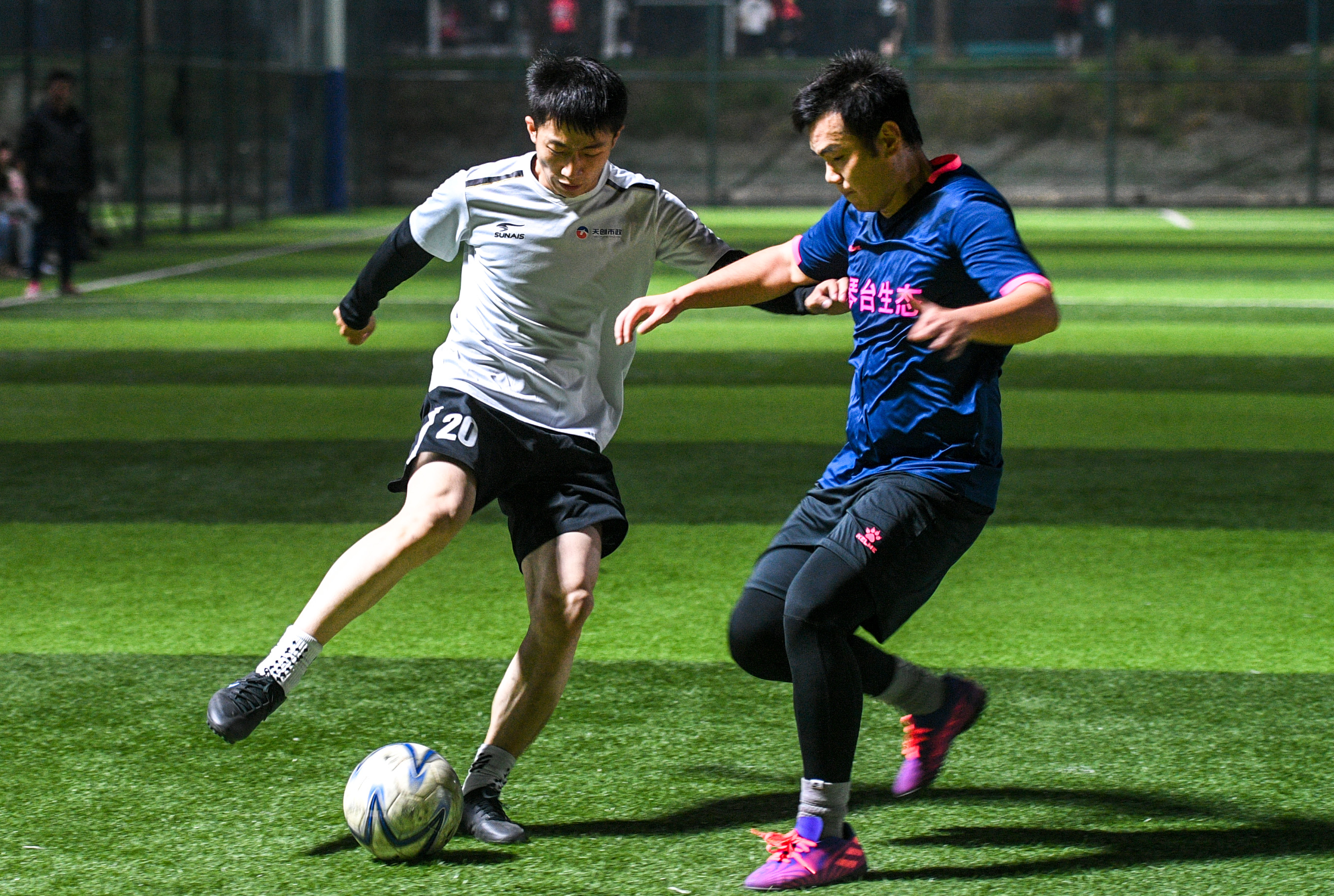 ���Ź����217��(�й���)����