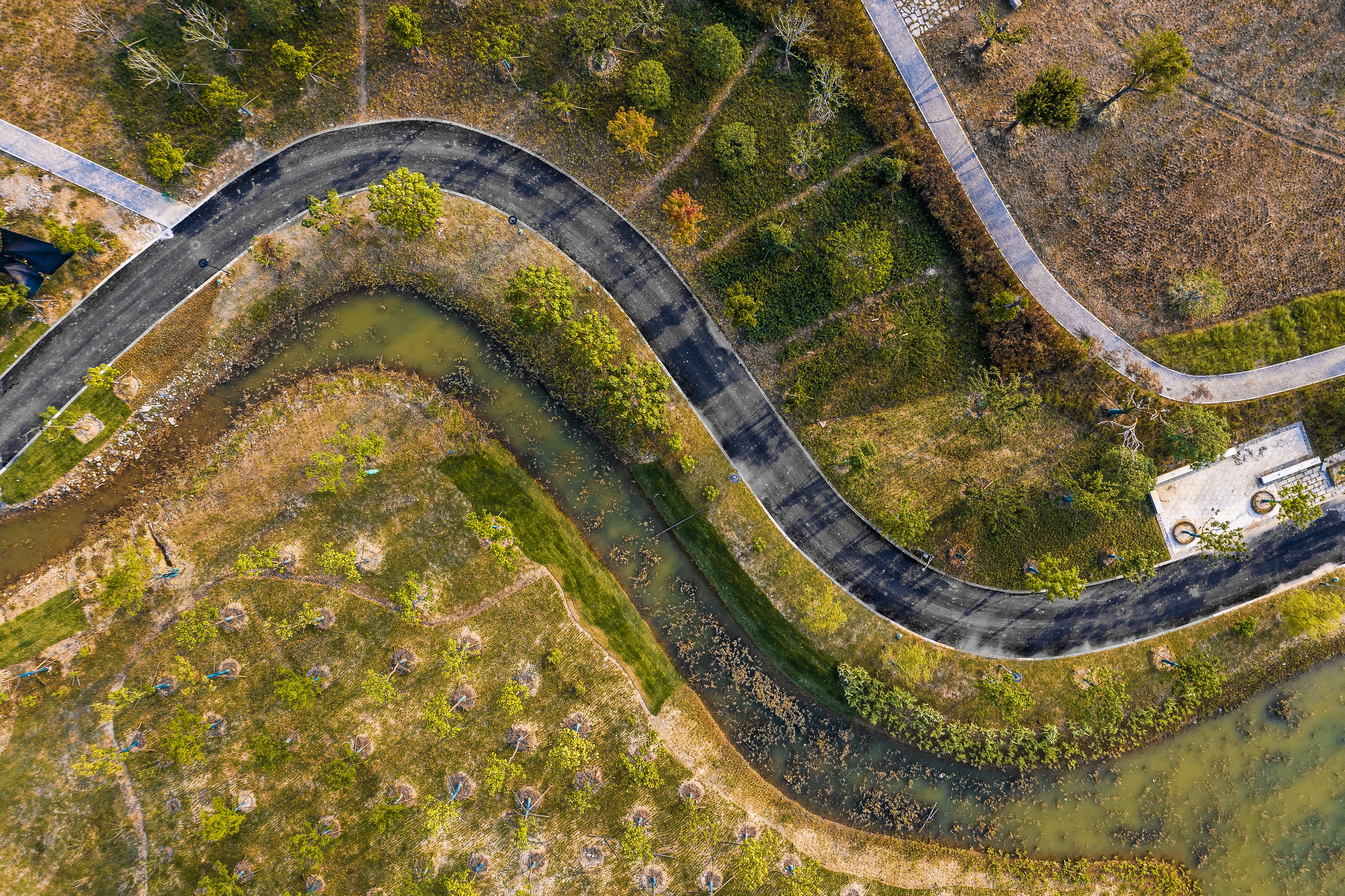 ���Ź����217��(�й���)����