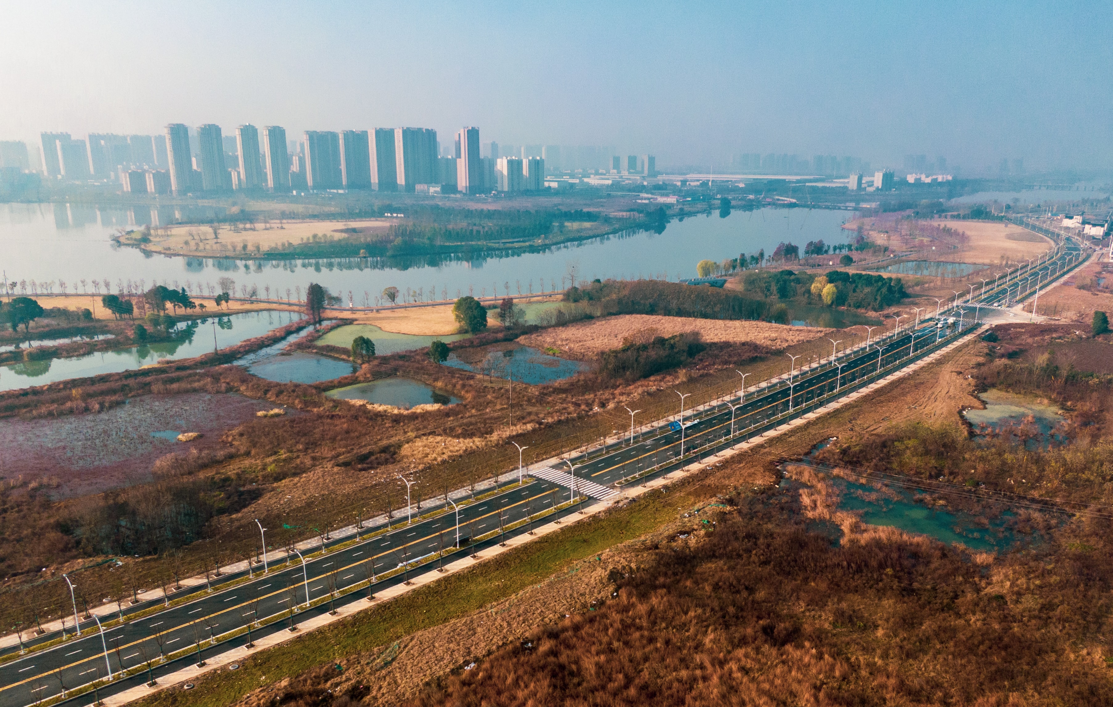 ���Ź����217��(�й���)����