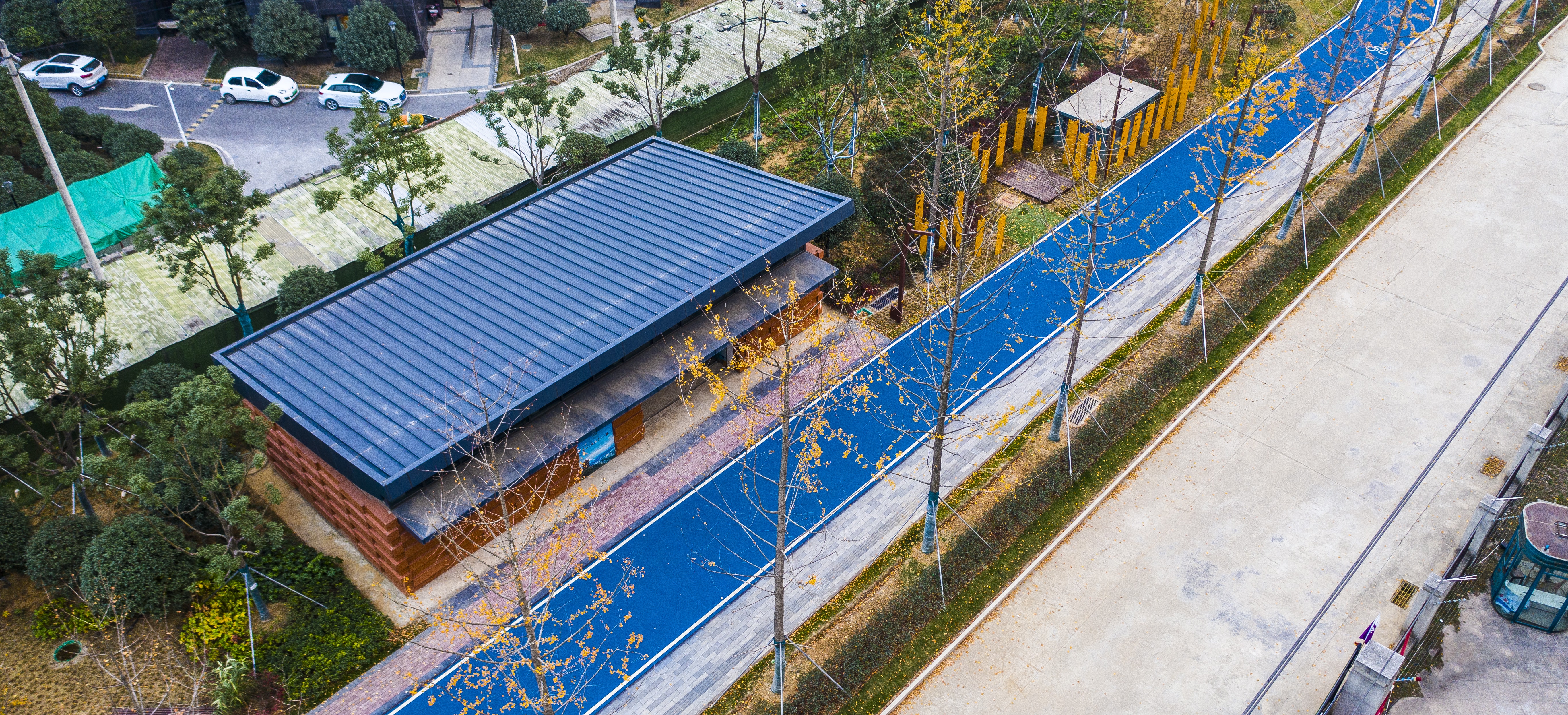 ���Ź����217��(�й���)����