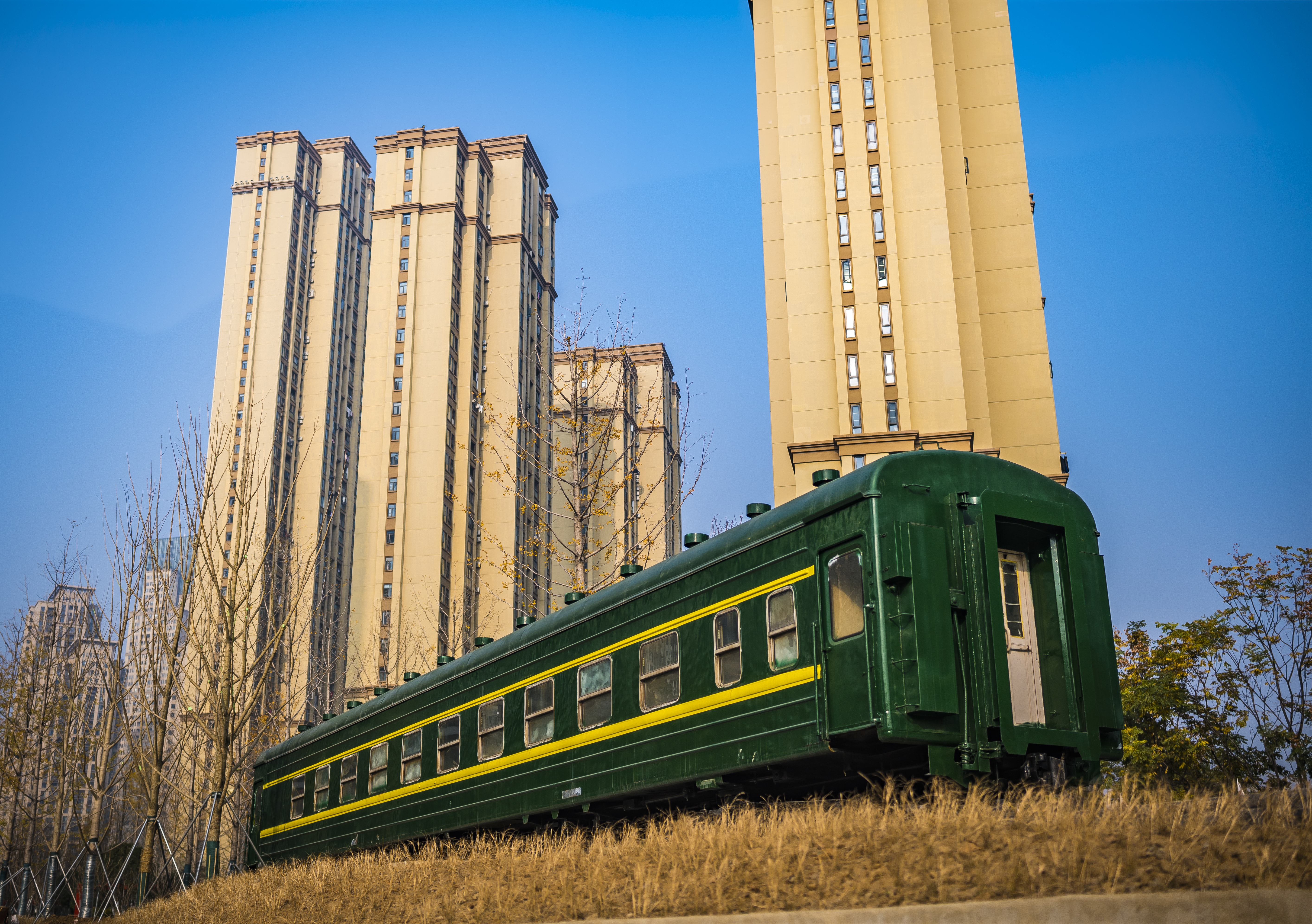 ���Ź����217��(�й���)����