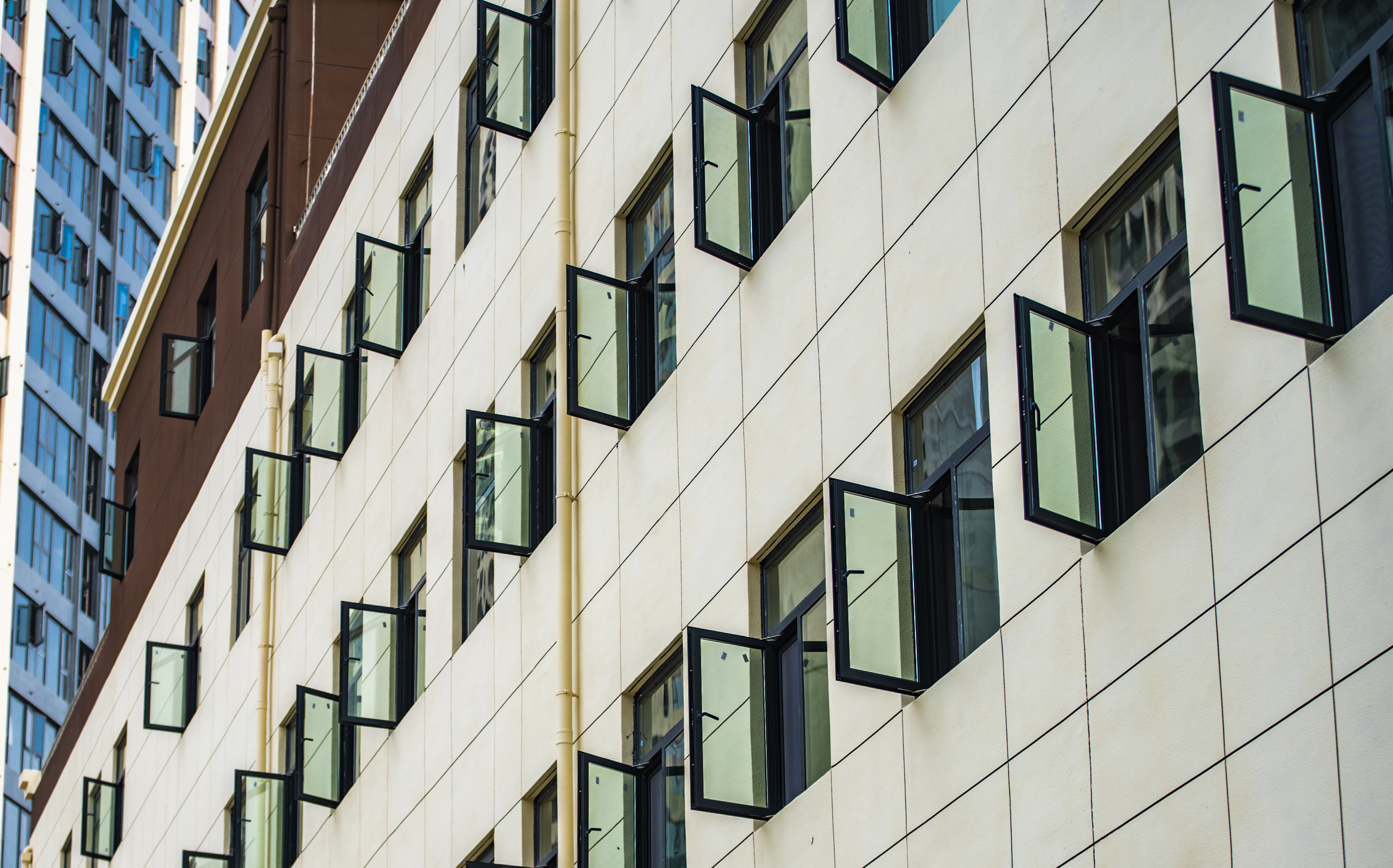 ���Ź����217��(�й���)����