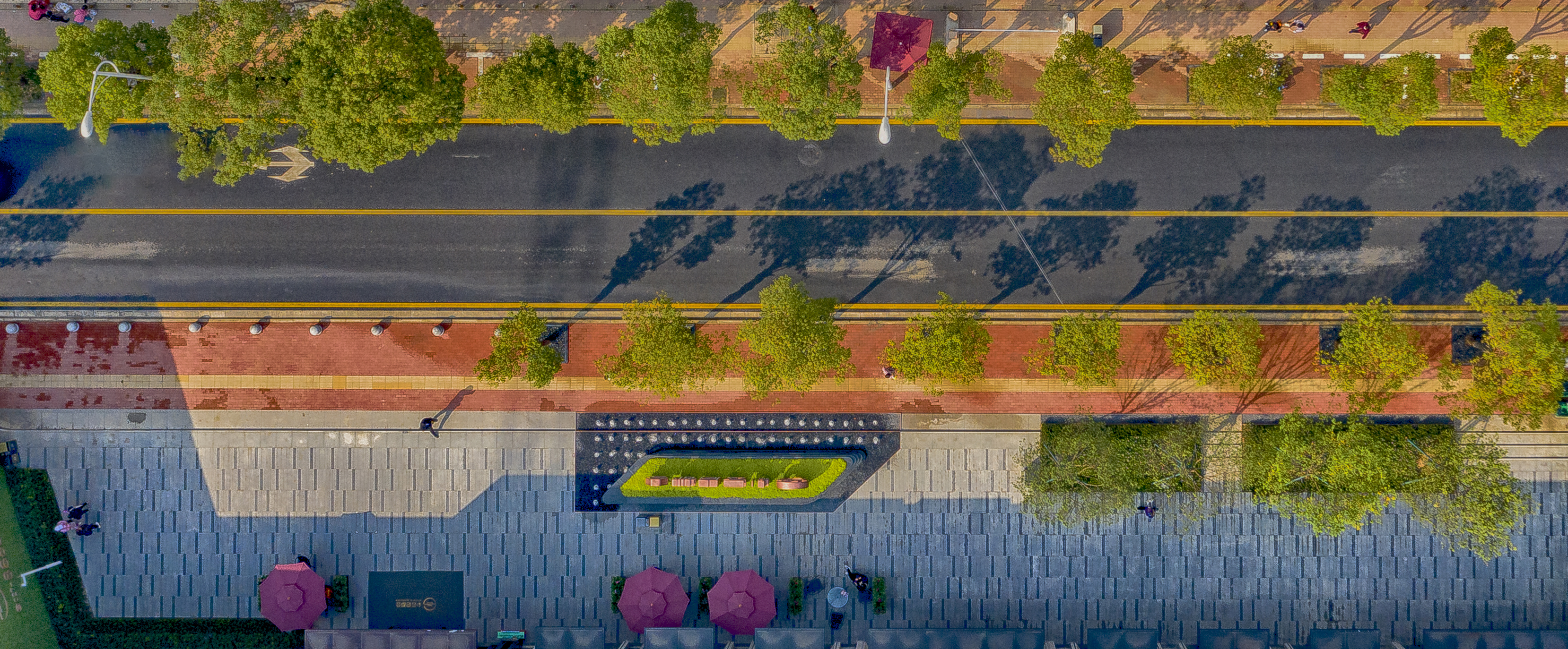 ���Ź����217��(�й���)����