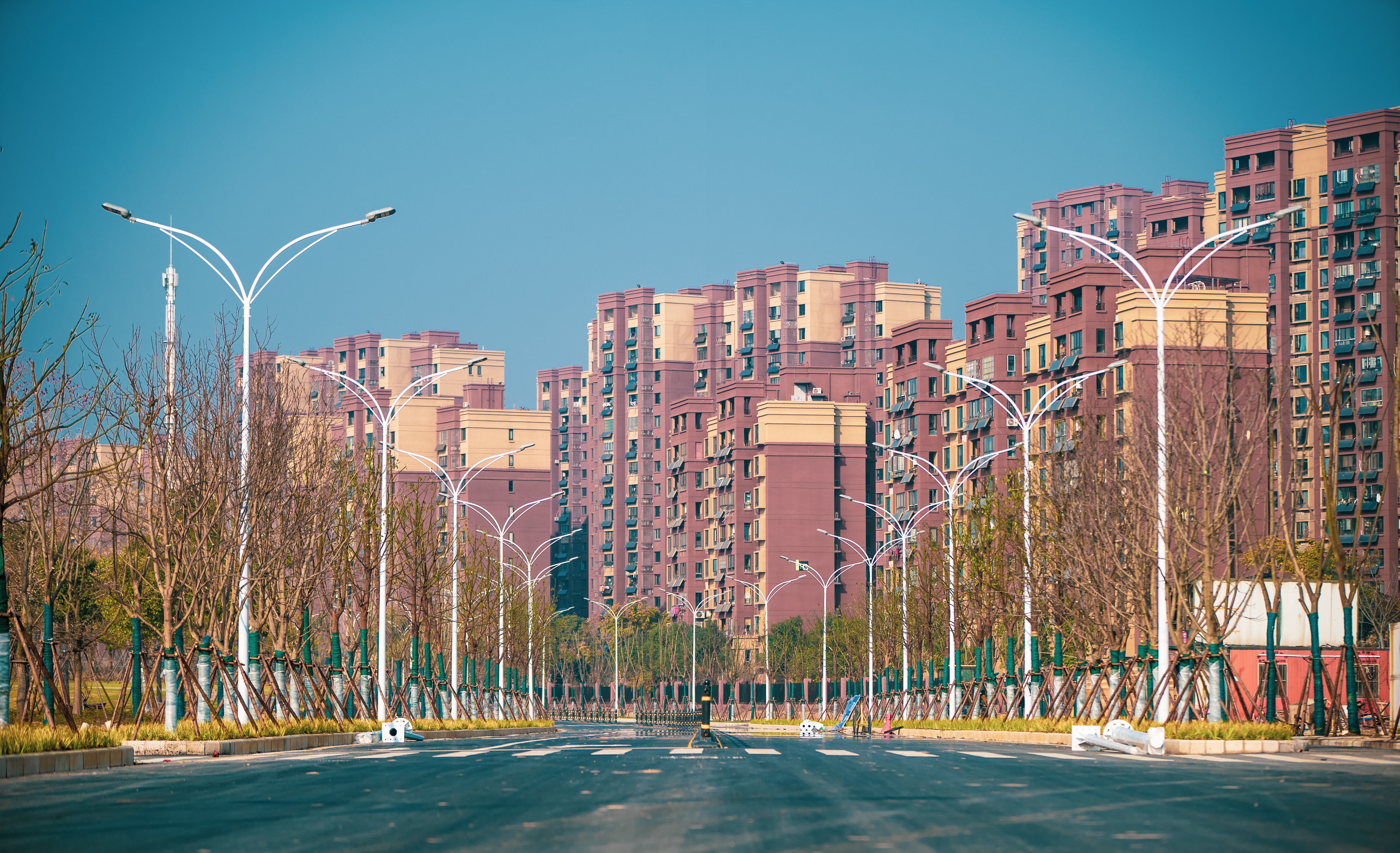 ���Ź����217��(�й���)����