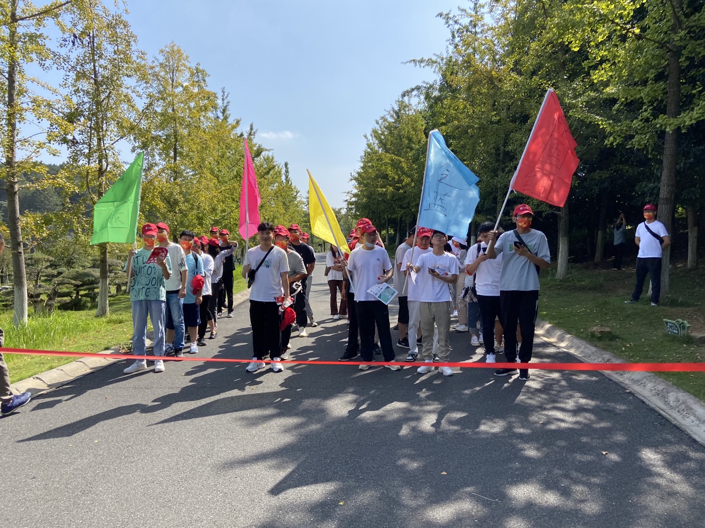 ���Ź����217��(�й���)����