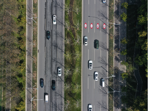 ���Ź����217��(�й���)����