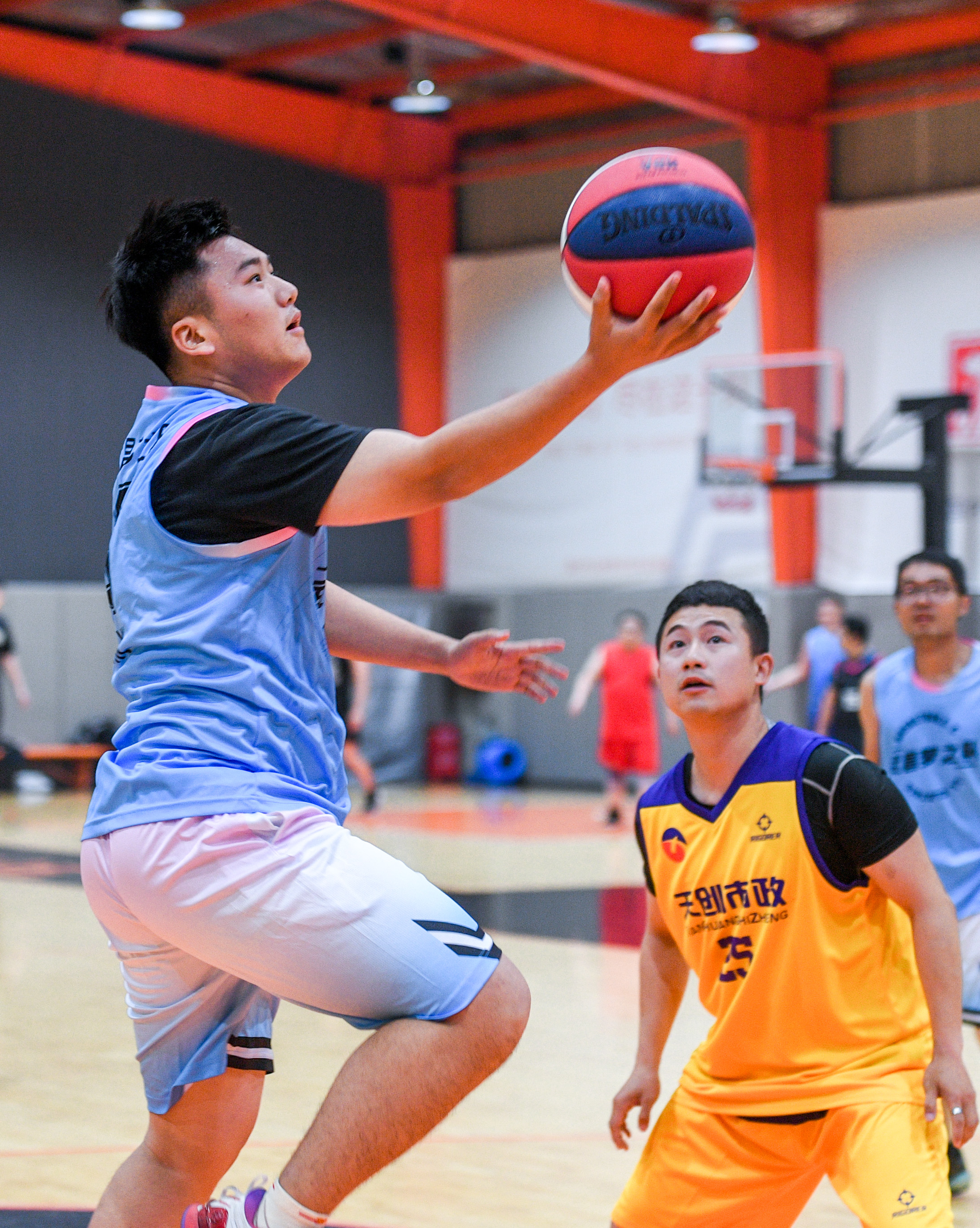 ���Ź����217��(�й���)����